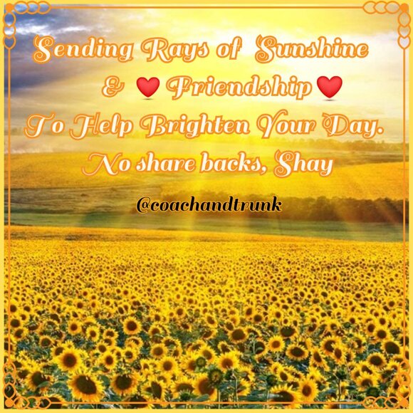 🌞Sending Rays of Sunshine Your Way🌞Hope You're Having A Great Day - Picture 1 of 3